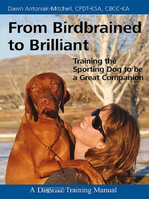 cover image of From Birdbrained to Brilliant